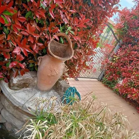 A Casa Nostra * Fratta Todina